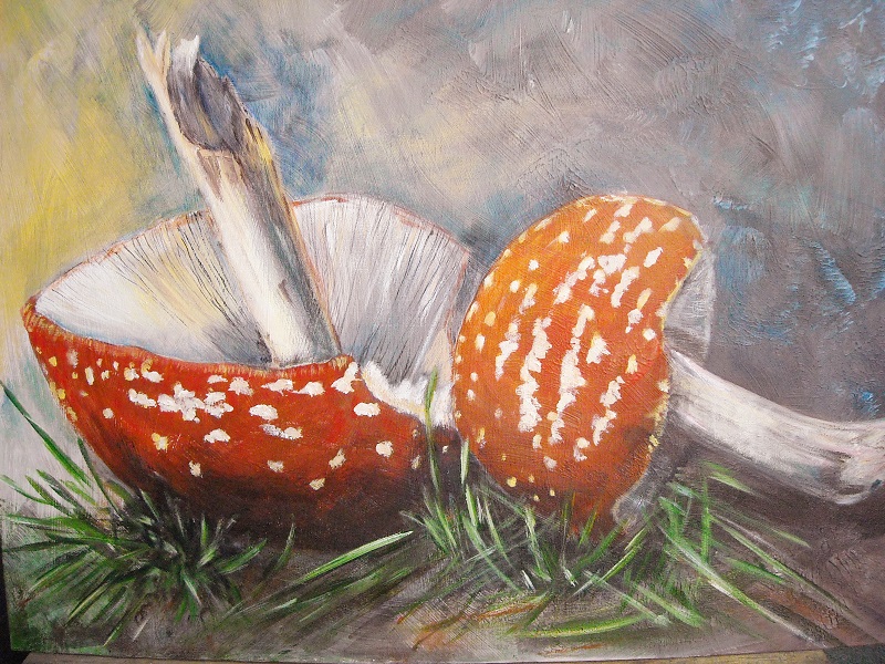 Mushrooms drawing by Wiltrud D.